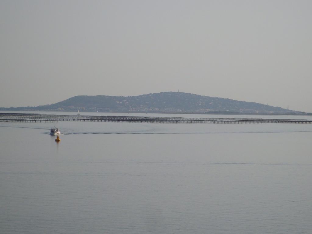 Port Rive Gauche Iona Lägenhet Marseillan  Exteriör bild